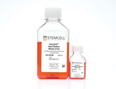 NeuroCult™ 分化试剂盒（小鼠和大鼠）