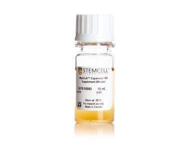 MyoCult™ 扩增添加物 10X（小鼠）
