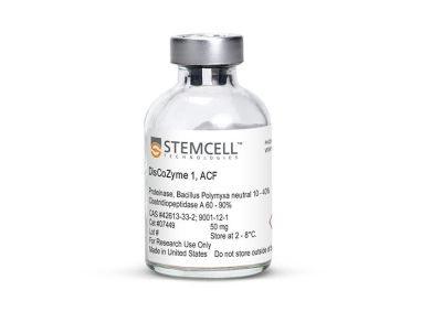 DisCoZyme 1， ACF