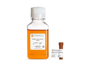 STEMdiff™ 神经嵴分化试剂盒