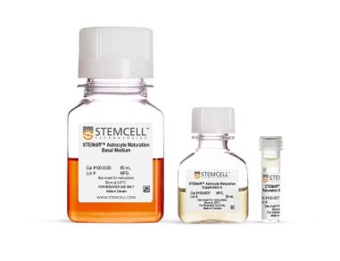 STEMdiff™ 星形胶质细胞成熟试剂盒