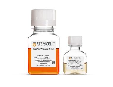 STEMdiff™ 中脑神经元成熟试剂盒