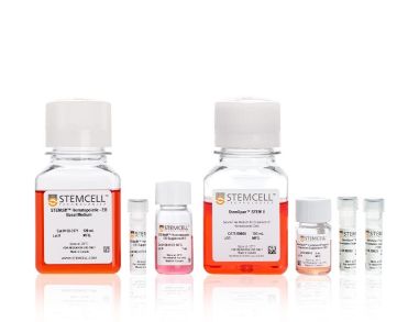 STEMdiff™ NK细胞分化试剂盒