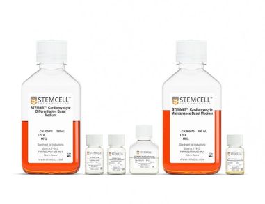STEMdiff™ 心房肌细胞分化试剂盒