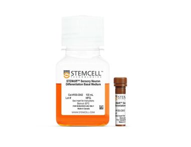 STEMdiff™ 感觉神经元分化试剂盒
