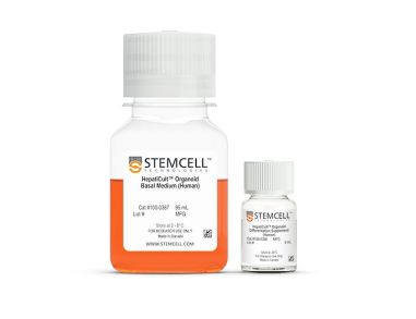 HepatiCult™类器官分化培养基（人）