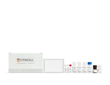 人SARS-CoV-2核蛋白IgG抗体ELISA试剂盒