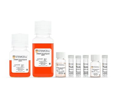STEMdiff™ 脉络丛类器官分化试剂盒