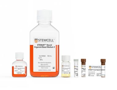 STEMdiff™ 中脑类器官分化试剂盒