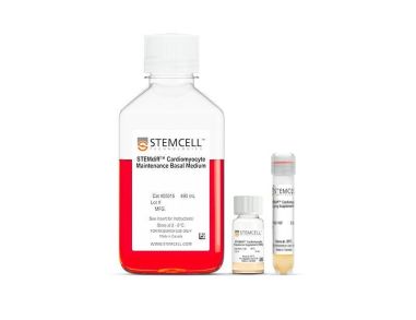 STEMdiff™ 心肌细胞扩增试剂盒