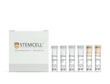 EasySep™人中央和效应记忆CD4+ T细胞分选试剂盒