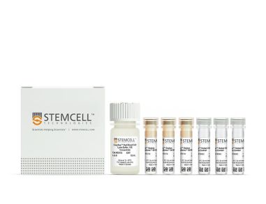 EasySep™人全血CD34正选试剂盒II