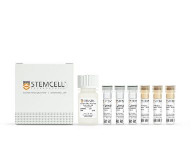 EasySep™人全血和骨髓CD138 正选试剂盒II