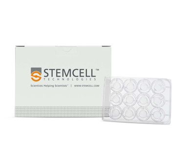 Costar®12 mm Transwell®，0.4 µm孔径的聚酯膜小室插件