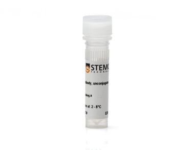 抗人CD43 抗体，克隆CD43-10G7