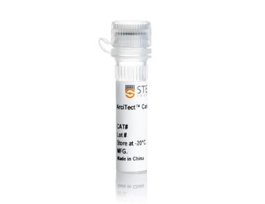 ArciTect™ Cas9 核酸酶