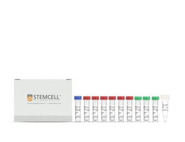 ArciTect™ 高保真 DNA 聚合酶试剂盒