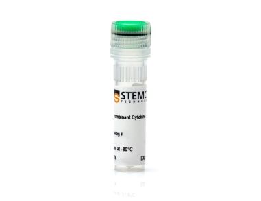 重组小鼠 EGF