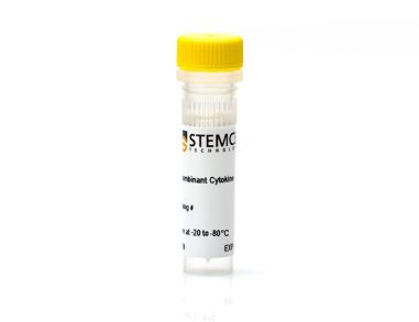 重组大鼠 GM-CSF