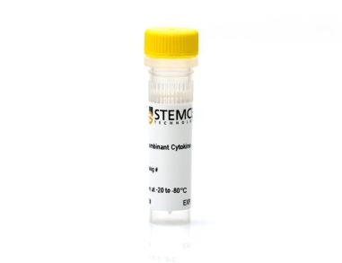 重组小鼠IL-1 α