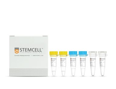STEMscript™ cDNA 合成试剂盒（含随机引物）