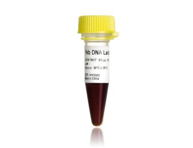 DNA梯状条带