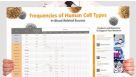 Frequencies of Human Cell Types in Blood-Related Sources