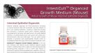 IntestiCult&trade; OGMM: Robust Growth of Mouse Intestinal Epithelial Organoids