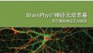 BrainPhys&trade; Neuronal Medium for Improved Neuronal Function