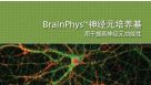 BrainPhys&trade;神经元培养基用于提高神经元功能性