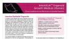 IntestiCult&trade; Organoid Growth Medium (Human)