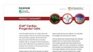 CDI iCell Cardiac Progenitor Cells Data Sheet