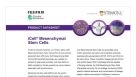 CDI iCell Mesenchymal Stem Cells Data Sheet