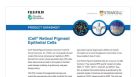 iCell® Retinal Pigment Epithelial Cells Data Sheet