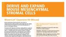 MesenCult Expansion Kit (Mouse)