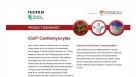 CDI iCell Cardiomyocytes Data Sheet