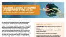Genome Editing of Human Pluripotent Stem Cells