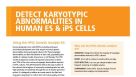 Detect Karyotypic Abnormalities in Human ES & iPS Cells