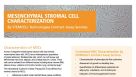 Mesenchymal Stromal Cell Characterization Services