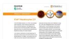 CDI iCell Hepatocytes