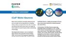 CDI iCell® Motor Neurons Data Sheet