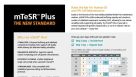 mTeSR™ Plus Product Overview Flyer