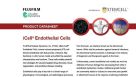 iCell® Endothelial Cells