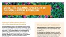 PneumaCult™-ALI-S Medium: Model the Regional Specificity of the Small Airway