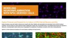 Modeling Neuroinflammation with hPSC-Derived Cells