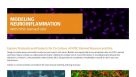 Modeling Neuroinflammation with hPSC-Derived Cells