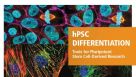 hPSC Differentiation: Tools for Pluripotent Stem Cell-Derived Research