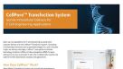 CellPore™ Transfection System Flyer