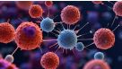 Peptide Pools: Dive into T Cell Activation