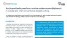 Highway1™: Sorting Cell Subtypes from Murine Melanoma